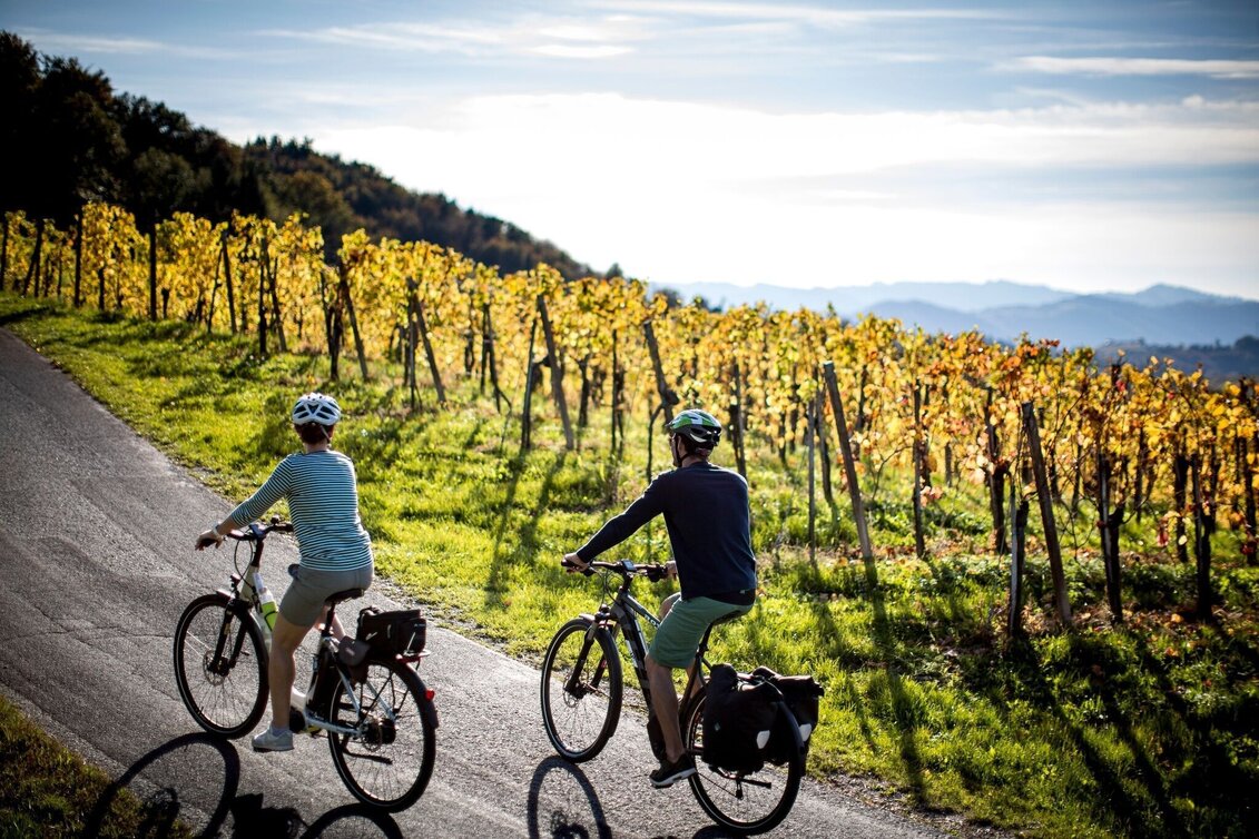Bike Riding Cycling for pleasure - Wine Road Tour Variant 3 - "Kranachberg-Sernauberg" - Touren-Impression #1 | © Südsteiermark