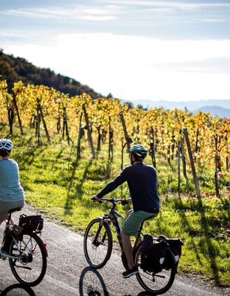 Mit dem e-Bike durch die Südsteiermark | Steiermark Tourismus | Tom Lamm | © Südsteiermark