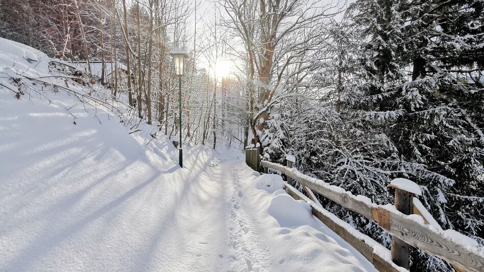 Snowshoe walking Sebastiani - Way of the Rosary stations - Touren-Impression #2.2 | © TV Hochsteiermark