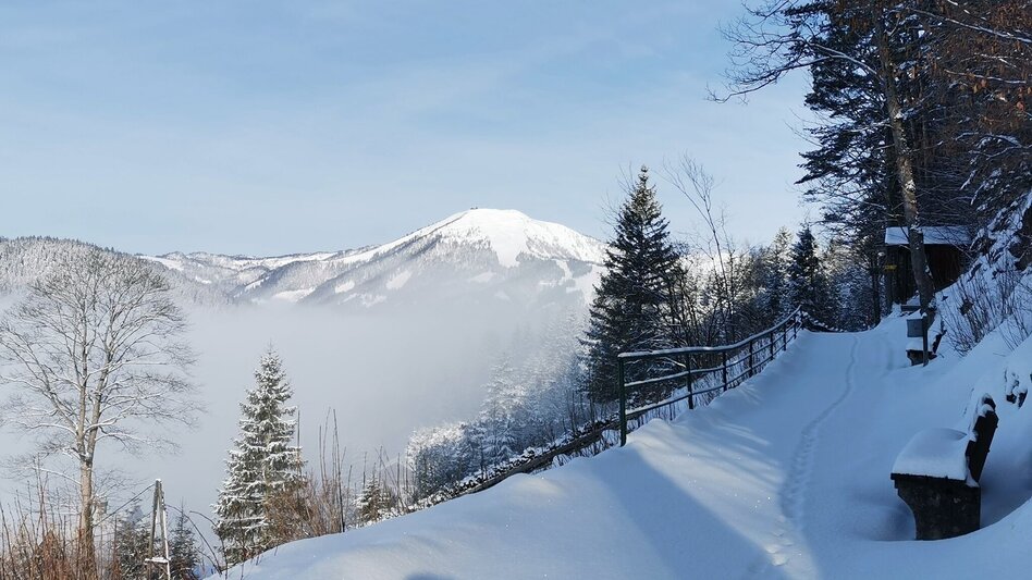 Snowshoe walking Sebastiani - Way of the Rosary stations - Touren-Impression #2.4 | © TV Hochsteiermark
