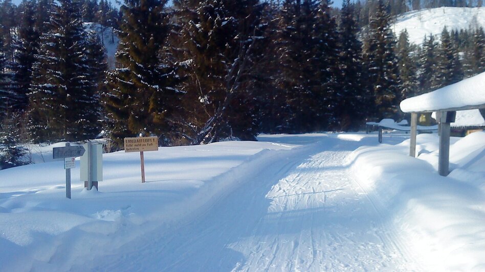 Ski-nordic-classic Fadental - Schnittlermoos - Touren-Impression #2.1 | © TV Hochsteiermark