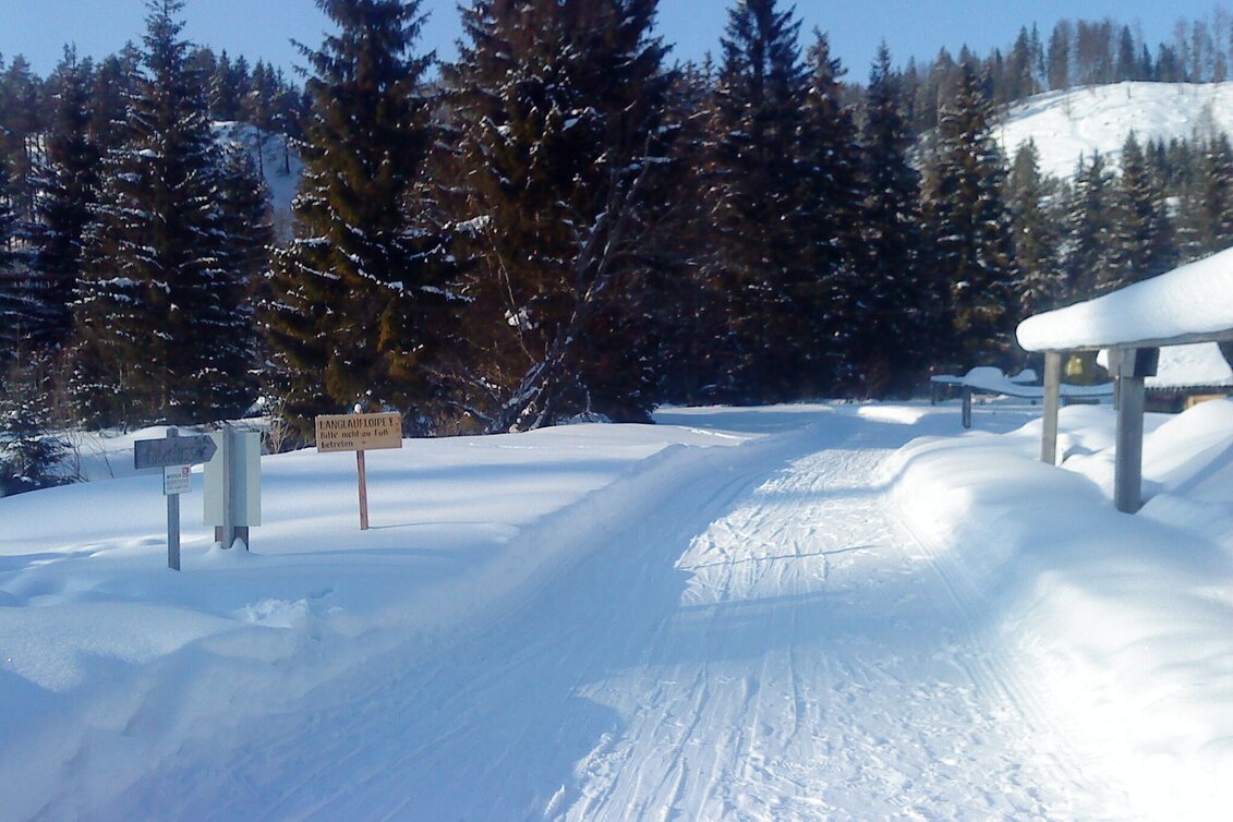 Ski-nordic-classic Fadental - Schnittlermoos - Touren-Impression #1 | © TV Hochsteiermark