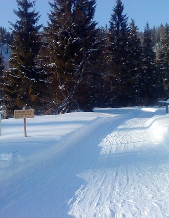 Einstieg zur Loipe | Brigitte Digruber | © TV Hochsteiermark