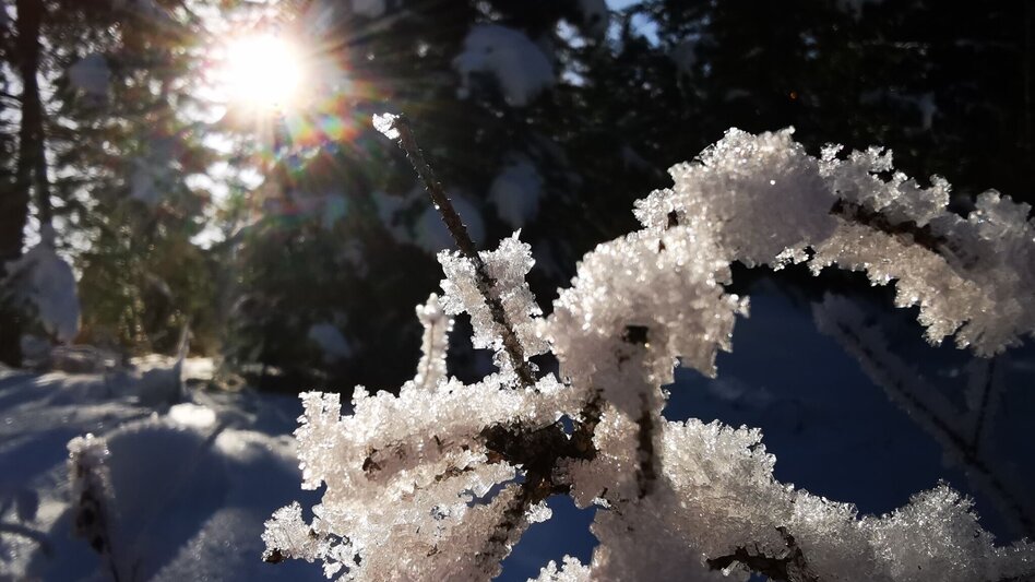 Ski-nordic-classic Fadental - Schnittlermoos - Touren-Impression #2.16 | © Hochsteiermark