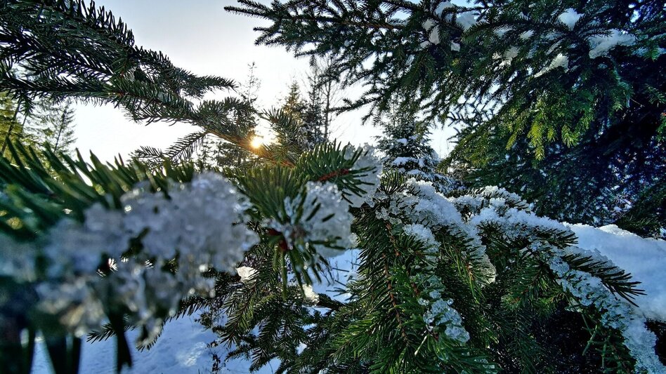 Ski-nordic-classic Fadental - Schnittlermoos - Touren-Impression #2.15 | © Hochsteiermark