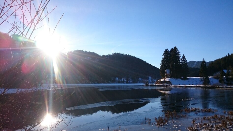 Ski-nordic-classic Fadental - Schnittlermoos - Touren-Impression #2.3 | © TV Hochsteiermark