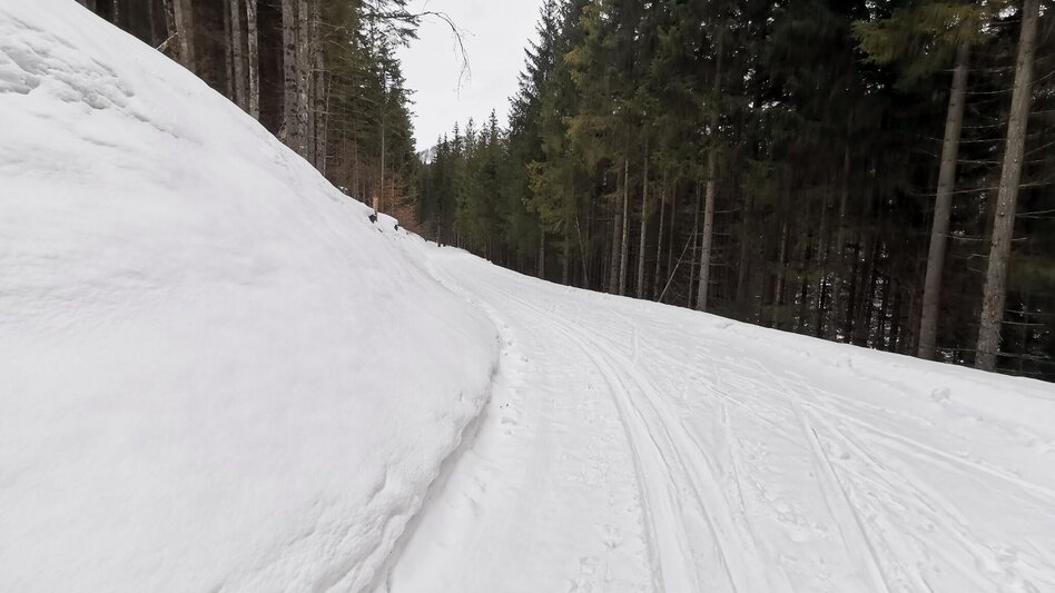 Ski-nordic-classic Fadental - Schnittlermoos - Touren-Impression #2.5 | © TV Hochsteiermark