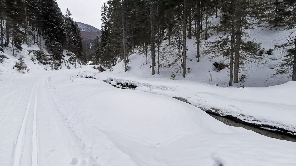 Ski-nordic-classic Fadental - Schnittlermoos - Touren-Impression #2.6 | © TV Hochsteiermark