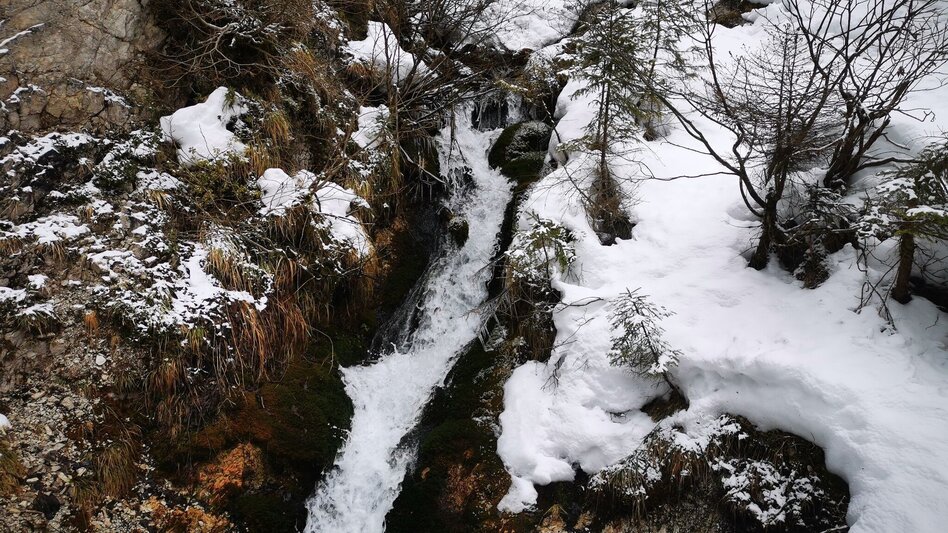 Ski-nordic-classic Fadental - Schnittlermoos - Touren-Impression #2.7 | © TV Hochsteiermark