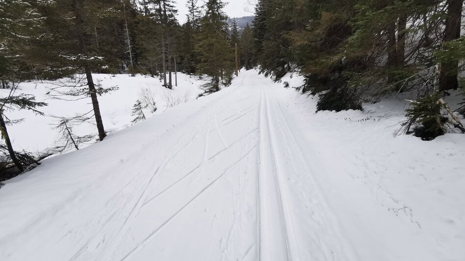 Ski-nordic-classic Fadental - Schnittlermoos - Touren-Impression #2.8 | © TV Hochsteiermark