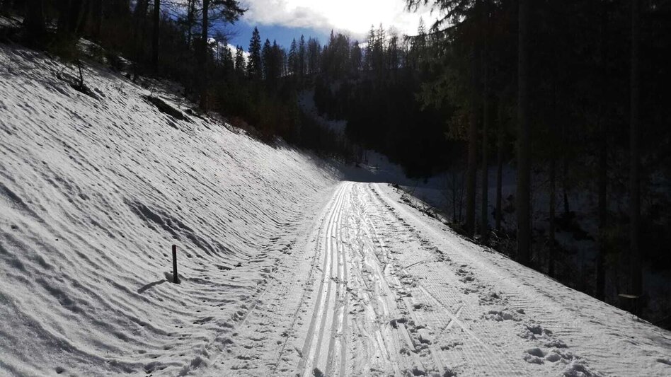 Ski-nordic-classic Fadental - Schnittlermoos - Touren-Impression #2.10 | © TV Hochsteiermark