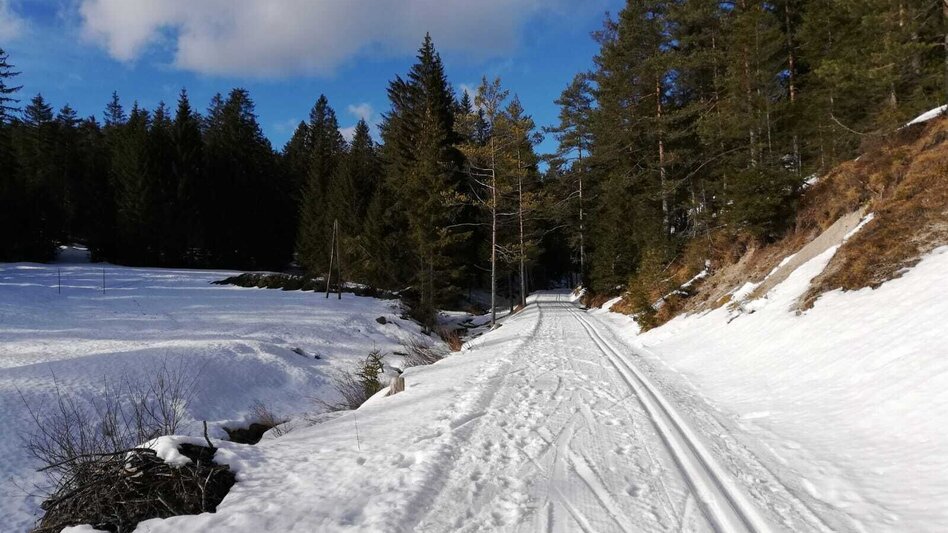 Ski-nordic-classic Fadental - Schnittlermoos - Touren-Impression #2.11 | © TV Hochsteiermark