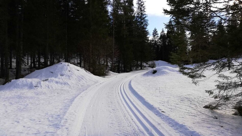 Ski-nordic-classic Fadental - Schnittlermoos - Touren-Impression #2.12 | © TV Hochsteiermark