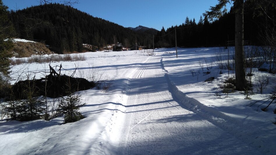 Ski-nordic-classic Fadental - Schnittlermoos - Touren-Impression #2.13 | © TV Hochsteiermark