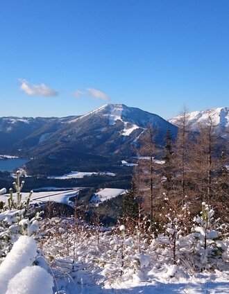 Ausblick auf Erlaufsee, Gemeindealpe und Ötscher | Brigitte Digruber | © TV Hochsteiermark