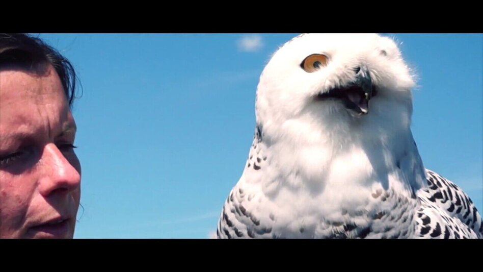 Hiking route Kapfenberger "Stadtrunde" mit Burg Oberkapfenberg - Touren-Impression #2.5 | © Andreas Pesendorfer