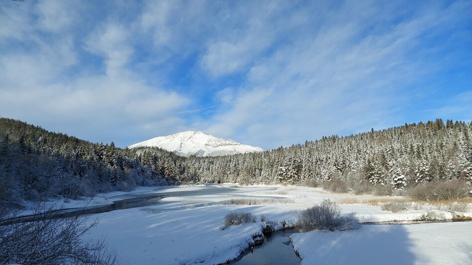 Winter Hiking Erlaufstausee - small tour - Touren-Impression #2.1 | © TV Hochsteiermark