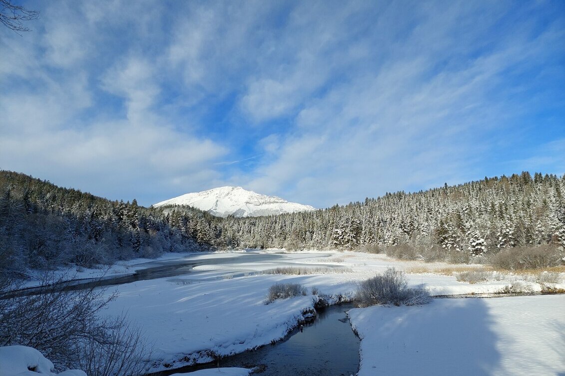 Winter Hiking Erlaufstausee - small tour - Touren-Impression #1 | © TV Hochsteiermark
