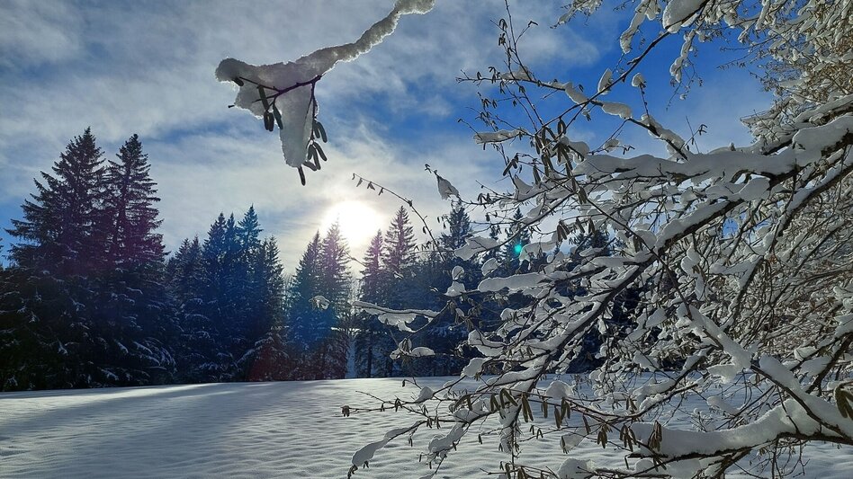 Winter Hiking Erlaufstausee - small tour - Touren-Impression #2.2 | © TV Hochsteiermark