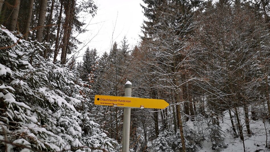 Winter Hiking Erlaufstausee - small tour - Touren-Impression #2.3 | © TV Hochsteiermark