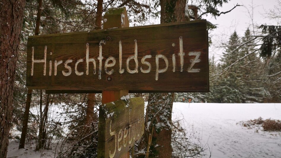 Winter Hiking Erlaufstausee - small tour - Touren-Impression #2.5 | © TV Hochsteiermark