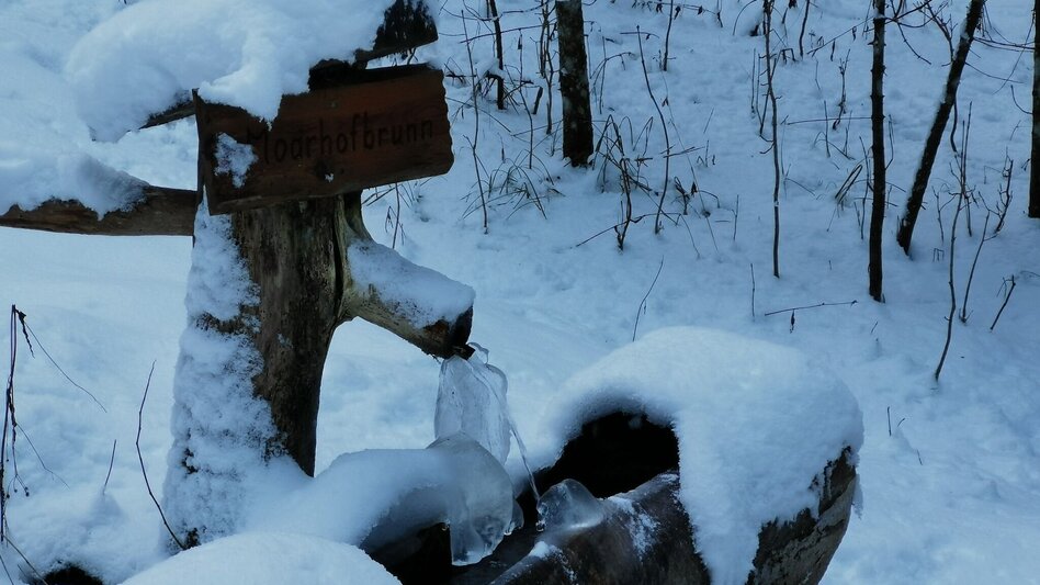 Winter Hiking Erlaufstausee - small tour - Touren-Impression #2.6 | © TV Hochsteiermark