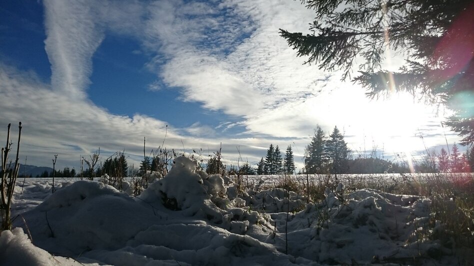 Winter Hiking Erlaufstausee - small tour - Touren-Impression #2.7 | © TV Hochsteiermark