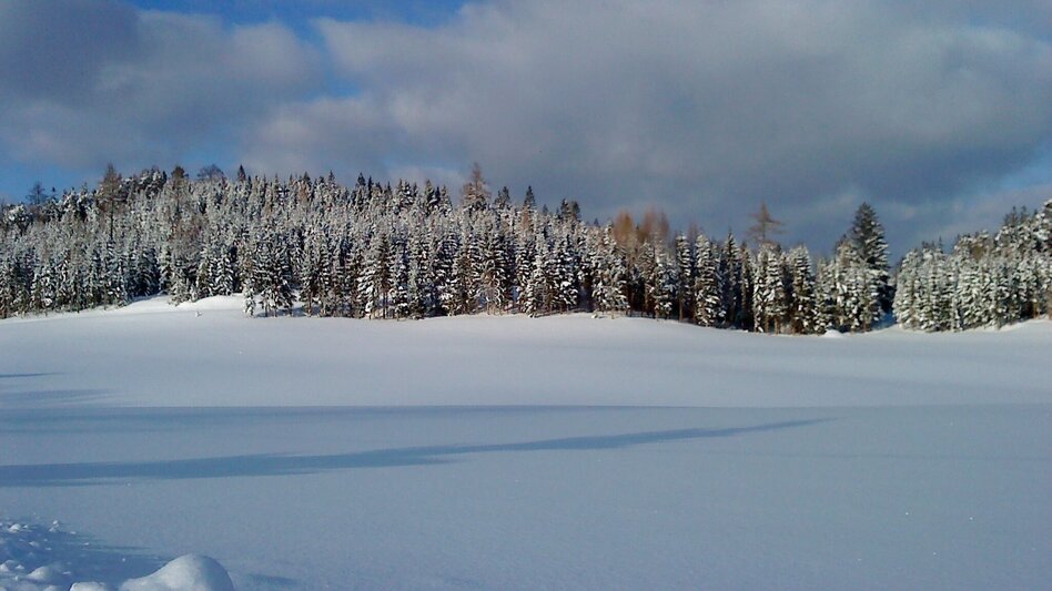 Winter Hiking Erlaufstausee - small tour - Touren-Impression #2.8 | © TV Hochsteiermark