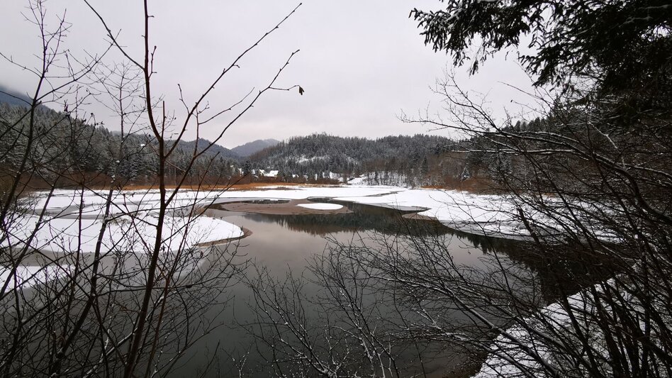Winter Hiking Erlaufstausee - small tour - Touren-Impression #2.4 | © TV Hochsteiermark