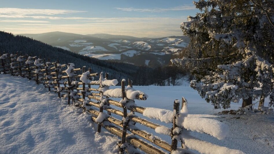 Winterwandern Winterwanderweg vom Orthofer zum Berger, St. Jakob im Walde - Touren-Impression #2.1 | © Gasthof Orthofer