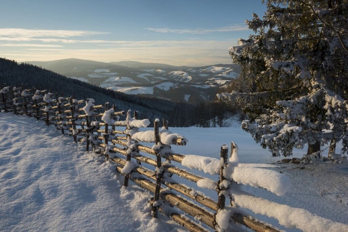 Winterwandern Winterwanderweg vom Orthofer zum Berger, St. Jakob im Walde - Touren-Impression #1 | © Gasthof Orthofer