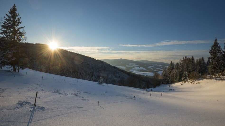 Winter Hiking Winterwanderweg am Eggbergrundweg, St. Jakob im Walde - Touren-Impression #2.1 | © Gasthof Orthofer