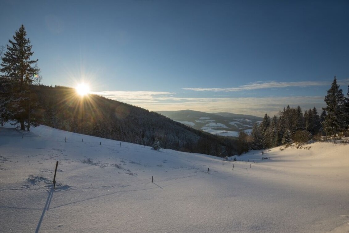 Winter Hiking Winterwanderweg am Eggbergrundweg, St. Jakob im Walde - Touren-Impression #1 | © Gasthof Orthofer