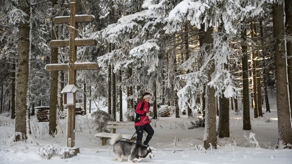 Winter Hiking Winterwanderweg am Eggbergrundweg, St. Jakob im Walde - Touren-Impression #2.2 | © Gasthof Orthofer
