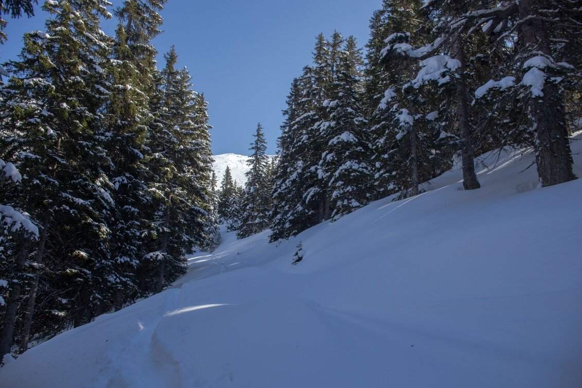 Snowshoe walking Snowshoe hiking tour Michelirlingalm - Touren-Impression #1 | © Erlebnisregion Schladming-Dachstein