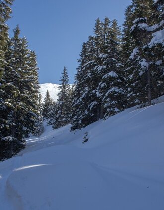 Der Wald umrahmt das Schreinl am Weg zur Alm. | Roland Gutwenger | © Erlebnisregion Schladming-Dachstein