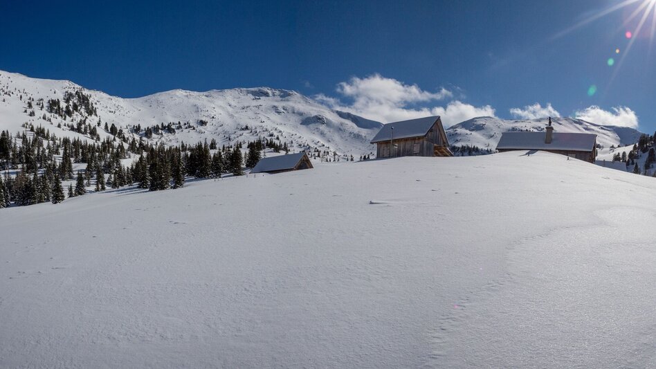 Snowshoe walking Snowshoe hiking tour Michelirlingalm - Touren-Impression #2.2 | © Erlebnisregion Schladming-Dachstein