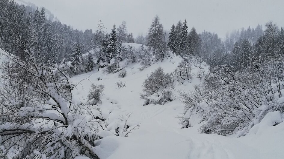 Ski Touring Ski tour to the Schwarzkarspitz - Touren-Impression #2.1 | © Erlebnisregion Schladming-Dachstein