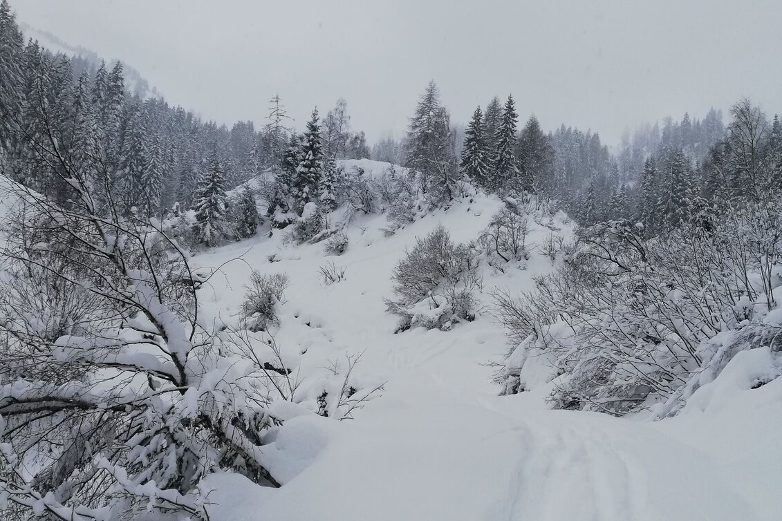 Ski Touring Ski tour to the Schwarzkarspitz - Touren-Impression #1 | © Erlebnisregion Schladming-Dachstein