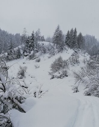 Kurz nach der Mörsbachalm | Roland Gutwenger | © Erlebnisregion Schladming-Dachstein