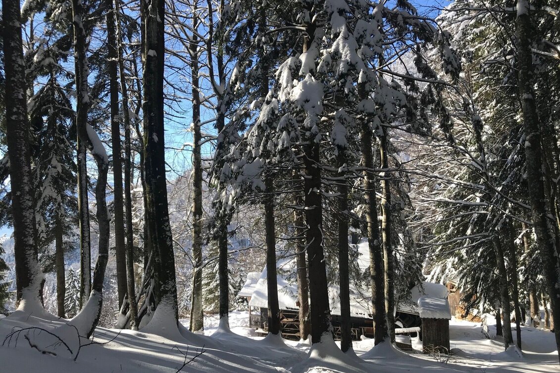 Winterwandern Winterwanderung zur Grimminghütte - Touren-Impression #1 | © Erlebnisregion Schladming-Dachstein