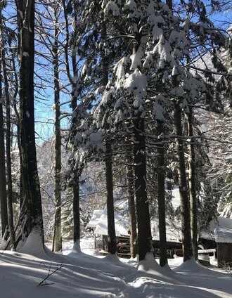 winterwanderung zur grimminghütte_img_54753307 | © Erlebnisregion Schladming-Dachstein