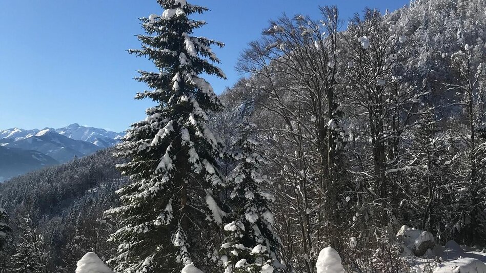 Winterwandern Winterwanderung zur Grimminghütte - Touren-Impression #2.2 | © Erlebnisregion Schladming-Dachstein