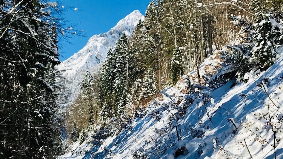 Winterwandern Winterwanderung zur Grimminghütte - Touren-Impression #2.3 | © Erlebnisregion Schladming-Dachstein