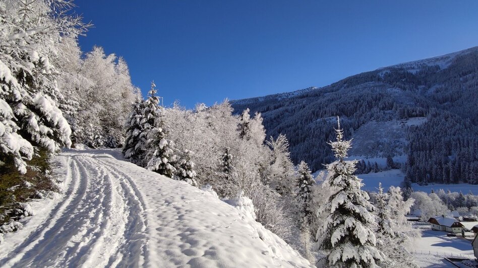 Winter Hiking Winter hike Vorderwald Runde - Touren-Impression #2.1 | © Erlebnisregion Schladming-Dachstein
