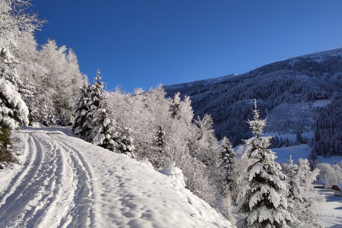 Winter Hiking Winter hike Vorderwald Runde - Touren-Impression #1 | © Erlebnisregion Schladming-Dachstein