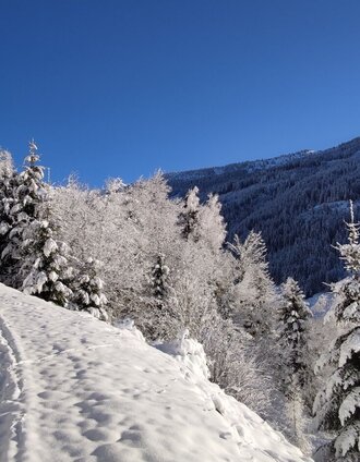 Winterlicher kann es kaum werden in Donnersbachwald | Roland Gutwenger | © Erlebnisregion Schladming-Dachstein