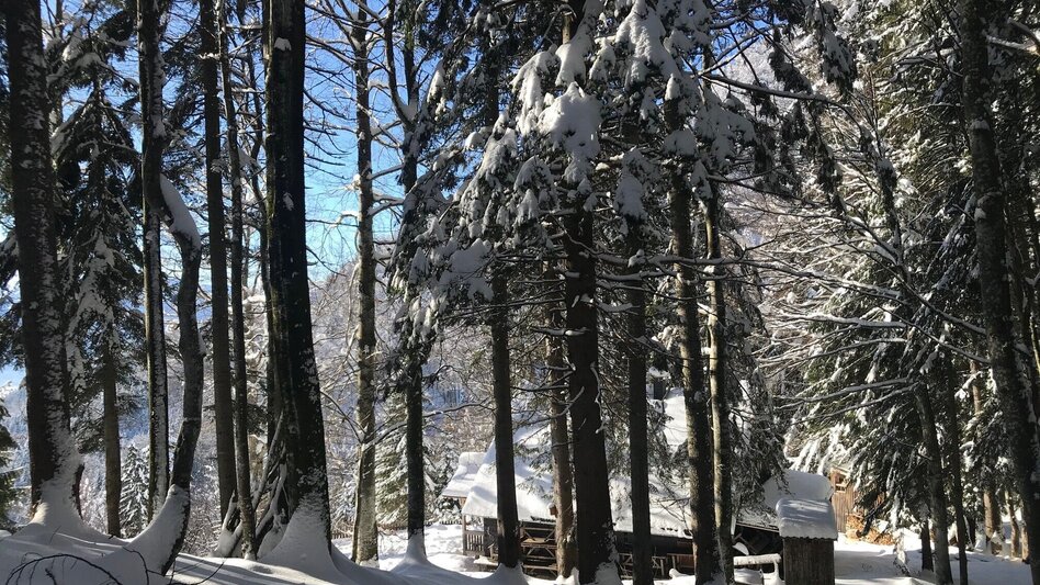 Schneeschuh Schneeschuhwanderung zum Tressenstein - Touren-Impression #2.2 | © Erlebnisregion Schladming-Dachstein