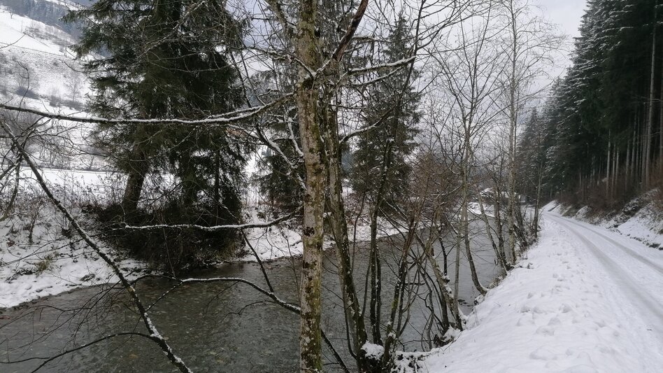 Winter Hiking Winter hiking on the Raumbergweg - Touren-Impression #2.1 | © Erlebnisregion Schladming-Dachstein