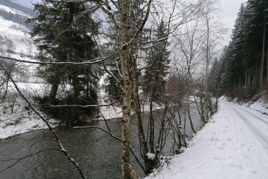 Winter Hiking Winter hiking on the Raumbergweg - Touren-Impression #1 | © Erlebnisregion Schladming-Dachstein